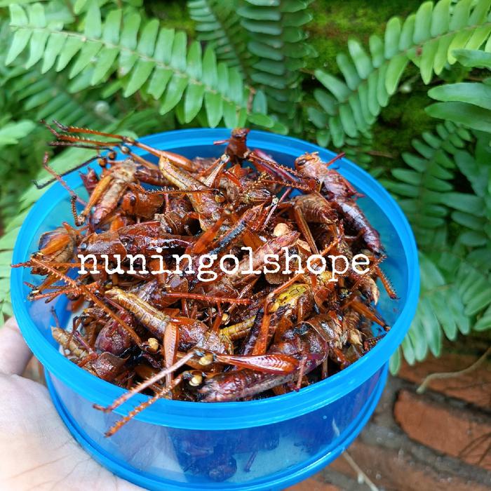 

BELALANG GORENG BESAR 165gram dan 100gram