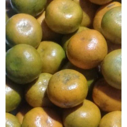 

HJK Jeruk Medan / Buah Segar