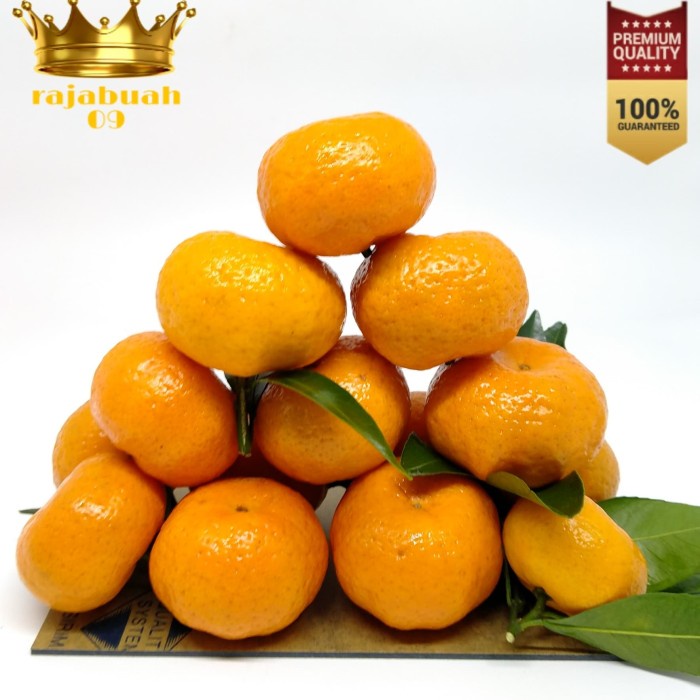 

HJK Buah Jeruk Santang Manis Segar / jeruk shantang