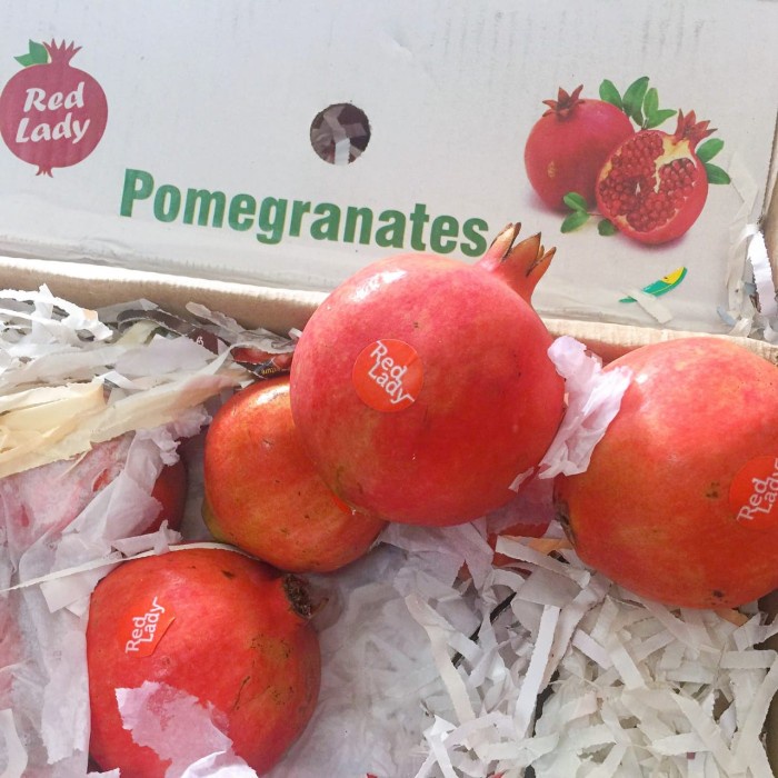 

HJK Buah Delima Merah Import Pomegranate High Antioxidant