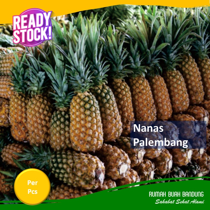 

HJK Nanas Palembang Utuh