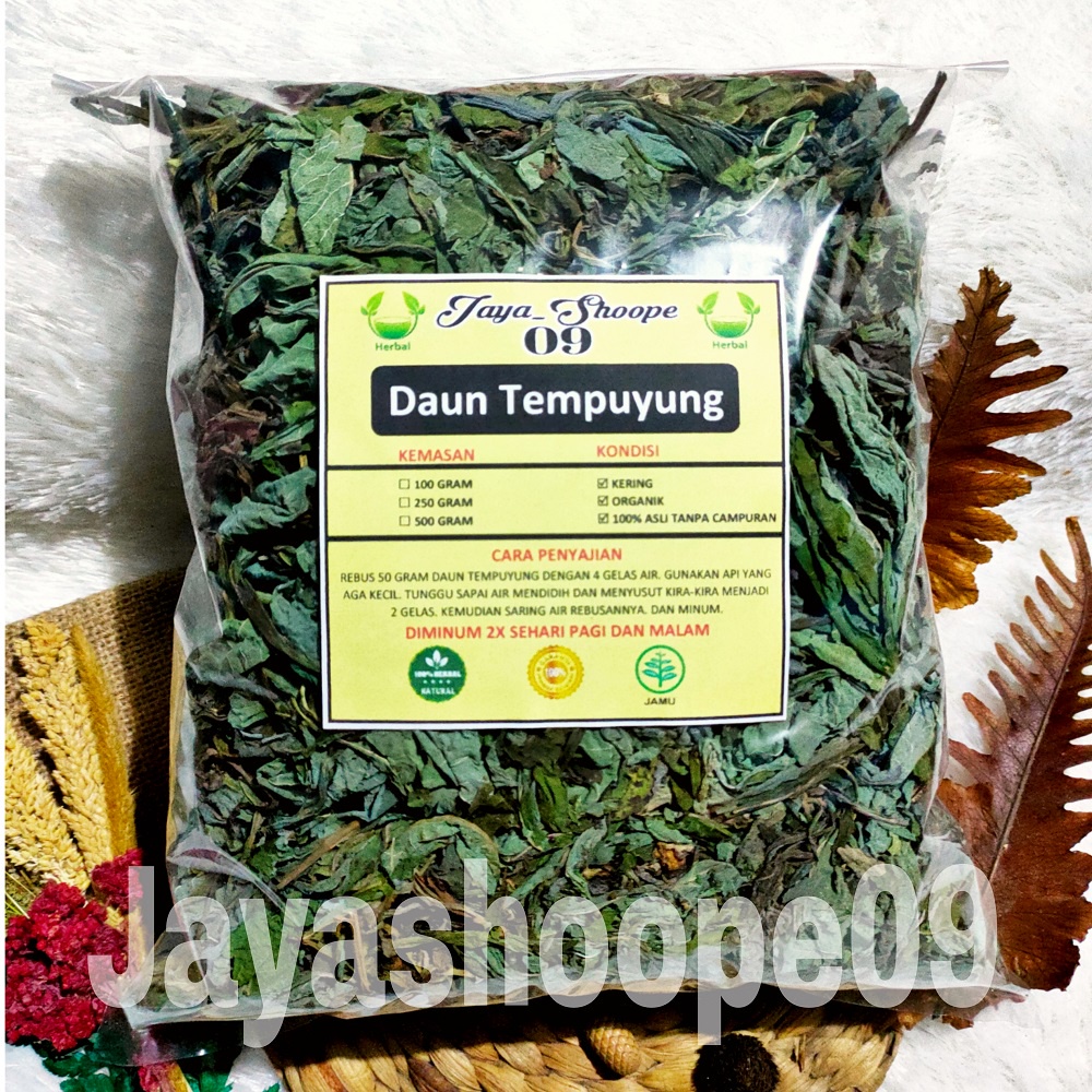 

( PROMO ) Daun Tempuyung Kering Asli Gram Teh Daun Tempuyung Obat Herbal Batu Ginjal Batu Empedu