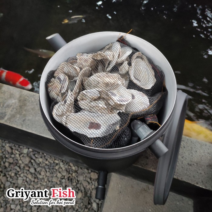 New Tong Filter Kolam Koi Chamber Media Filter Ember Koi Tabung Sedang Berkualitas