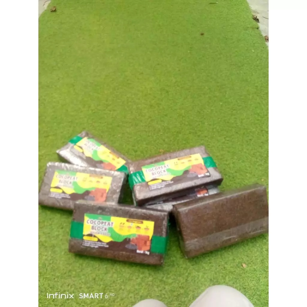TERJANGKAU  Cocopeat Jumbo, Cocopeat Kasar, Cocopeat Kering