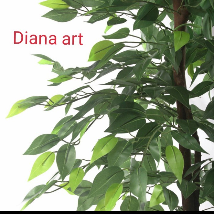 Promo Terbatas Pohon Beringin#Bonsai Beringin#Beringin Plastik#Daun Beringin Aman