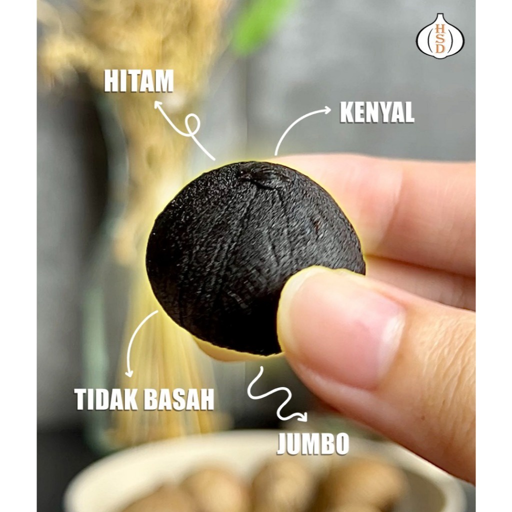 

2 BOTOL HSD Black Garlic Solo ( Bawang Hitam Tunggal) 500 Gr