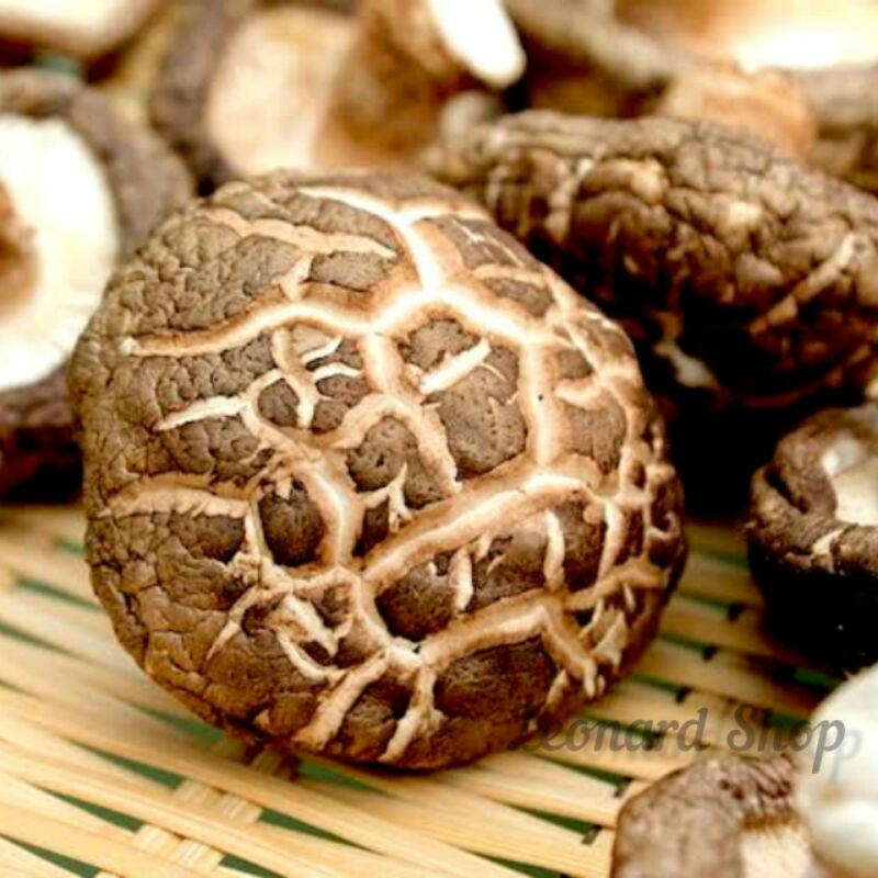 

JAMUR SHITAKE IMPORT 100GR KERING SUPER / SHIITAKE FRAGRANT MUSHROOM / HIOKO / DRIED XIANG GU /