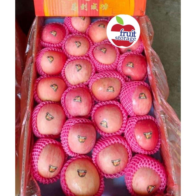 

Apel Fuji 1kg Import segar manis garing buah apple impor