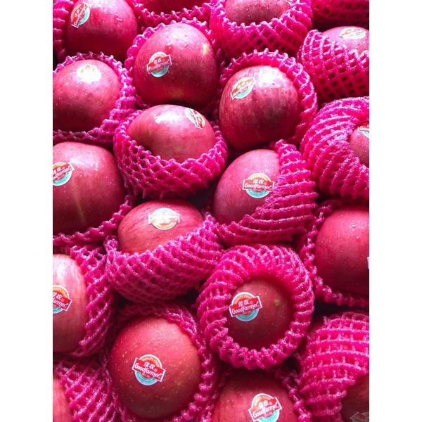 

BUAH APEL FUJI RRC IMPORT SEGAR 1KG