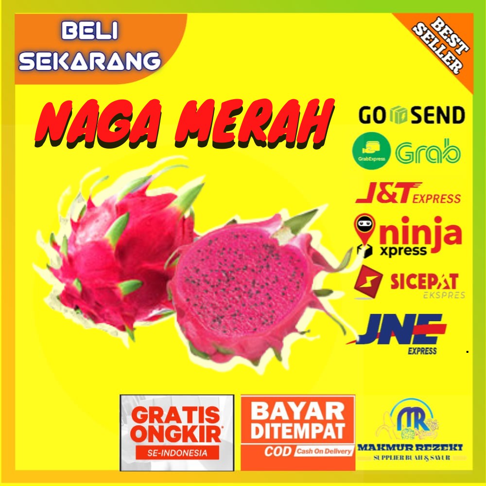 

BUAH NAGA MERAH 1KG SEGAR BUAH NAGA PREMUIM SUPER BESAR BUAH LOKAL MURAH HARGA PERKILO ISI 1-2 PER 1