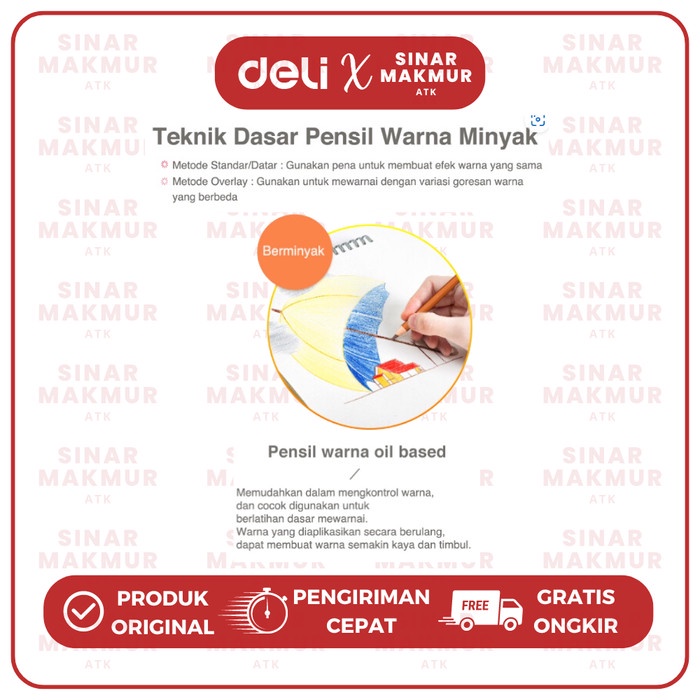 

HIGH-GRADE OIL PENCIL COLOR/PENSIL WARNA 36 WARNA DELI 6566 (SET)