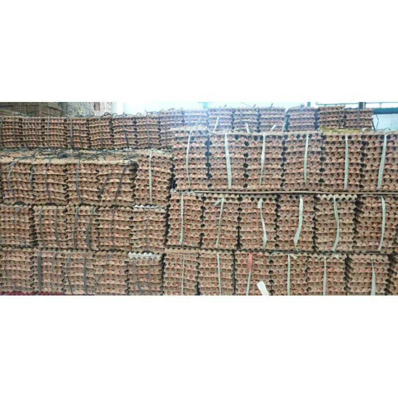 

Telur Ayam Negeri PREMIUM - 30 pcs / tray GRADE A Fresh Bersih Kualitas Terbaik