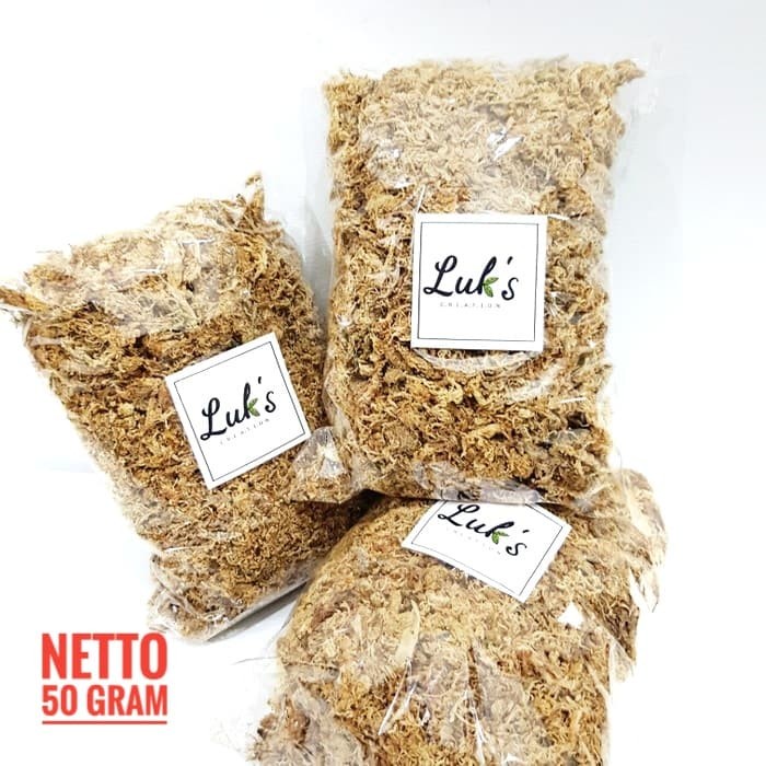 JTTOP" SPAGNUM MOSS PUTIH - CHILI MOSS - MOSS ANGGREK - MEDIA TANAM ANGGREK