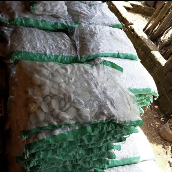 JTTOP" BATU KORAL PUTIH KUPANG / BATU TAMAN/ BATU TABUR PUTIH UNTUK TAMAN