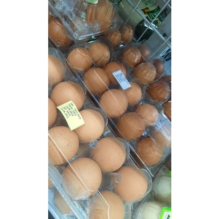 

Telor ayam perpack isi 10