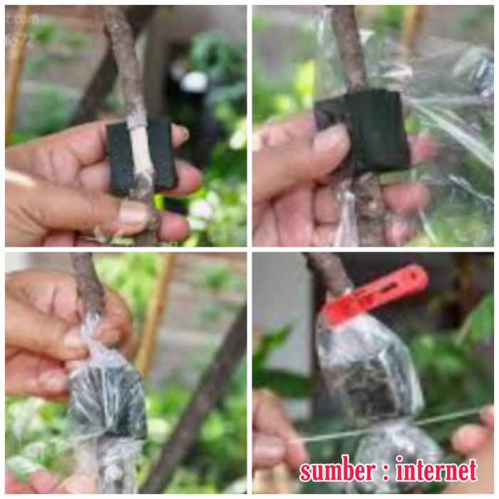 JTTOP" OASIS INDOCELL WET FLORAL FOAM - MEDIA TANAM STEK CANGKOK