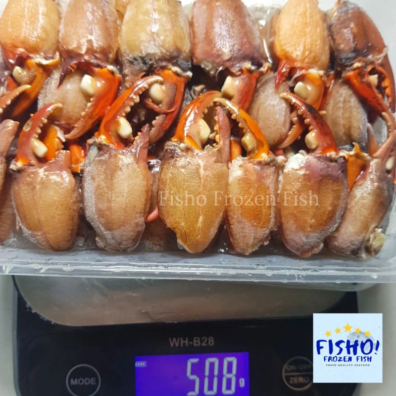 

Capit Kepiting Capit Kepiting Kupas Premium Frozen Fresh