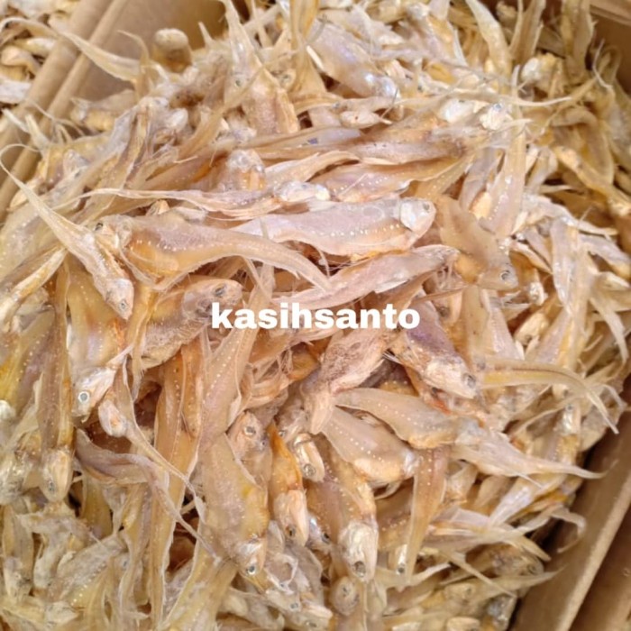 ikan asin bulu ayam-1kg