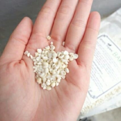 

BARLEY/JALI JALI/IBI/MINUMAN/BIJI JALI/ORGANIK/PANAS DALAM/GANDUM