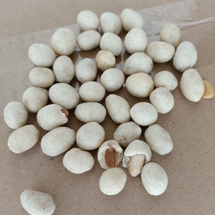 

(Good) Kacang shanghai OKE 200 gram
