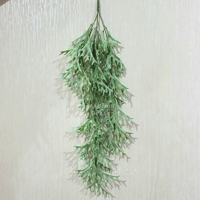 *TOP* DAUN TANDUK RUSA ARTIFICIAL