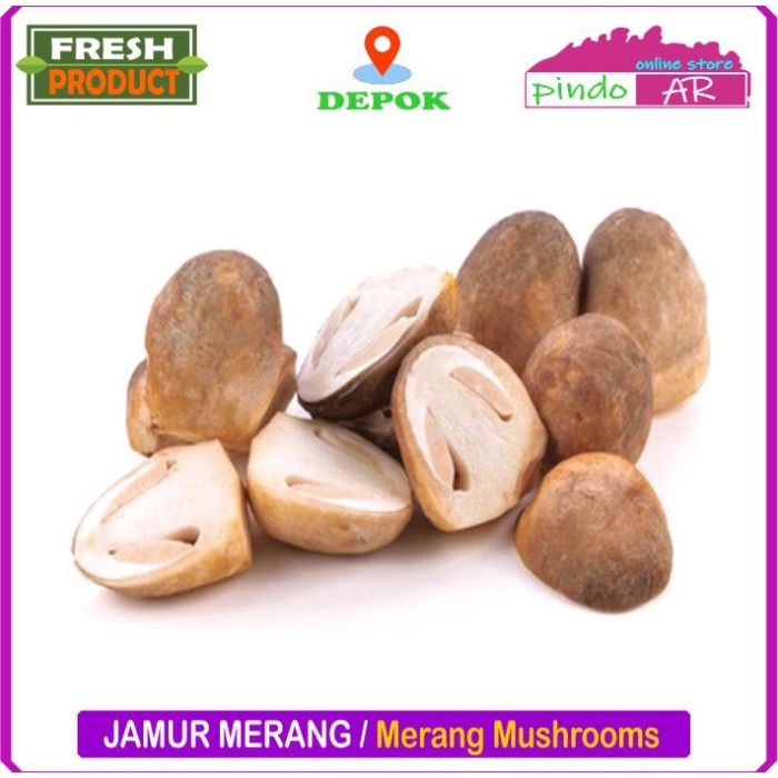 

Jamur Merang Segar / Straw Mushroom Fresh 250 Gram
