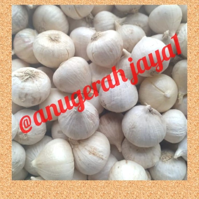 

bawang putih tunggal/bawang lanang 500grm
