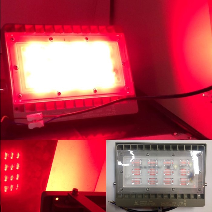 Flood Light Lampu Tembak Sorot 50 WATT 50W WARNA MERAH RED LED SMD Outdoor Lampu Panggung Pameran