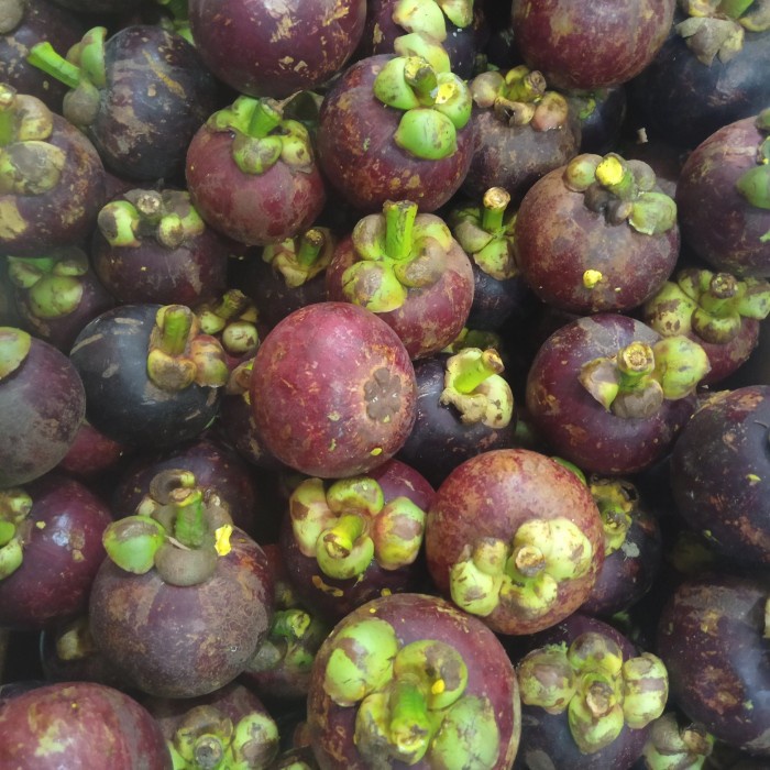 

buah manggis segar 1 kg