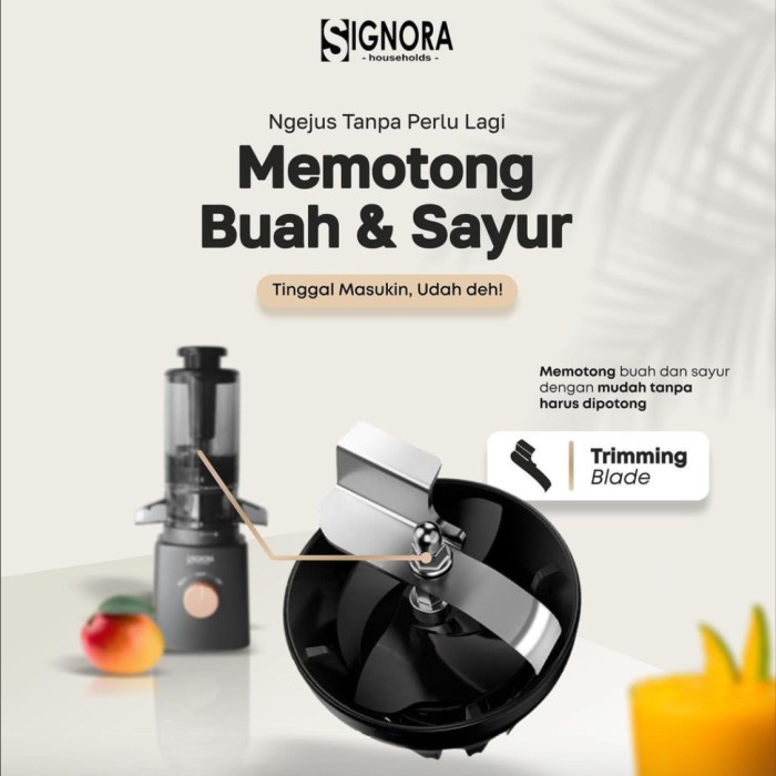 Signora Mini Slow Juicer Not Blender Portable Kapsul Philips