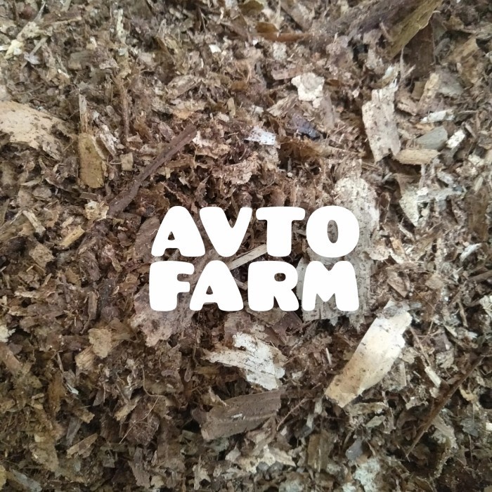 [BestSeller] humus bambu hutan murni 1kg