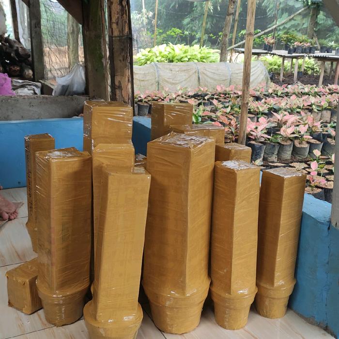 

Ready Stock Lakban (Co Live Paket Murah) Cod