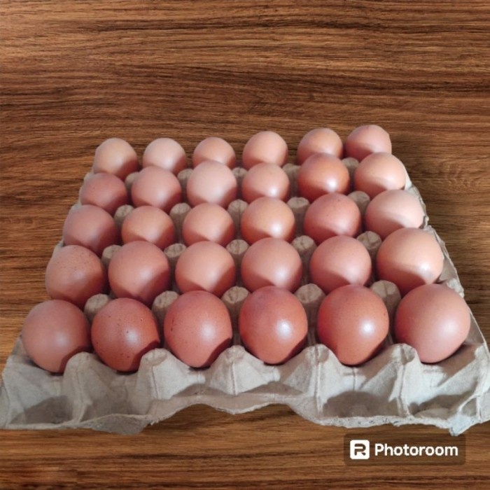 

(BestSeller) Telur ayam negeri fresh / telur ayam negeri per 1 tray telur ayam premium dan segar