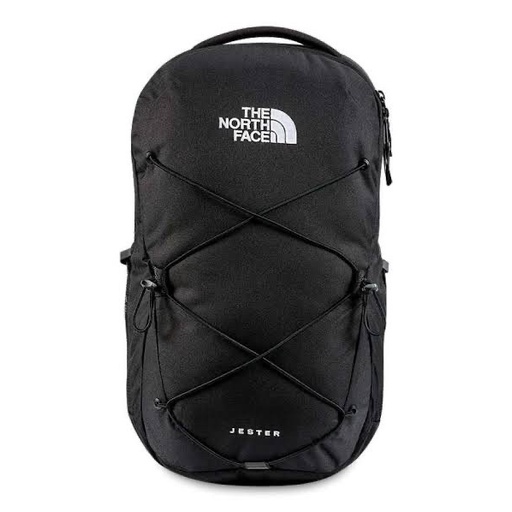 the north face original