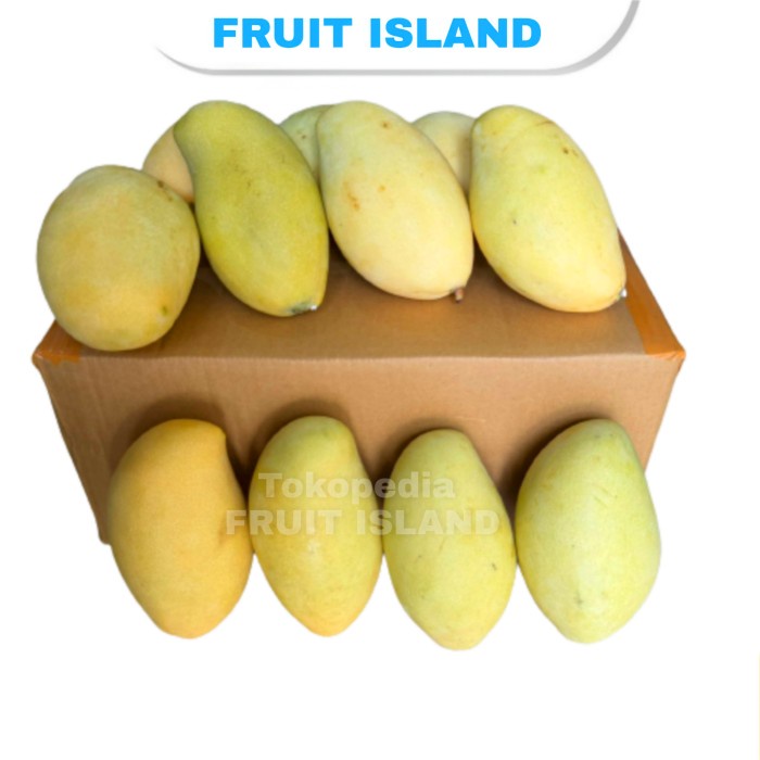 

Promo Terbatas Mangga Madu Thailand Mangga Namdocmoi 5 Kg Aman