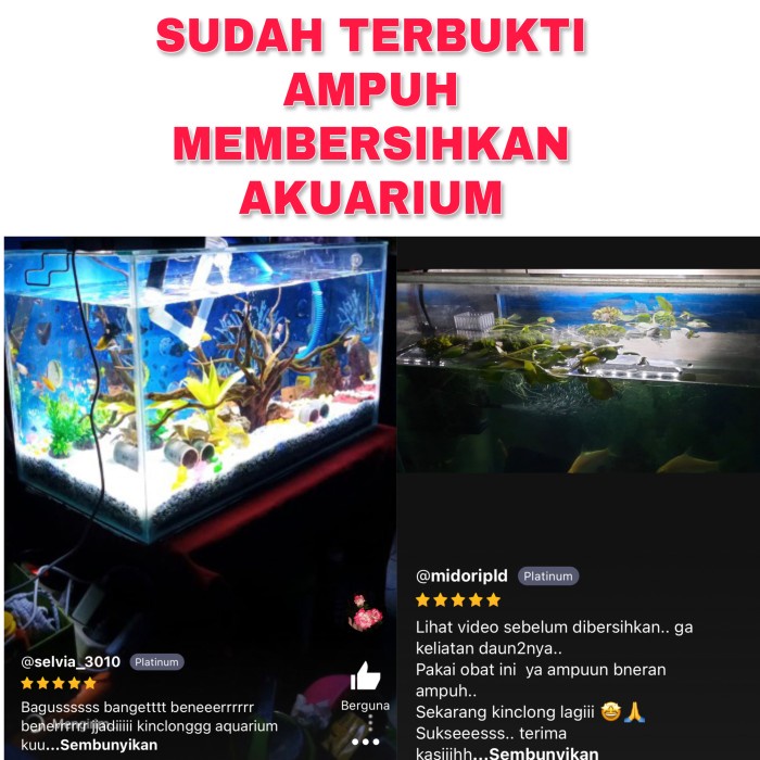 

PROMO Pembersih Aquarium Kaca Akrilik Mr Poank Paling ampuh mengangkat kerak