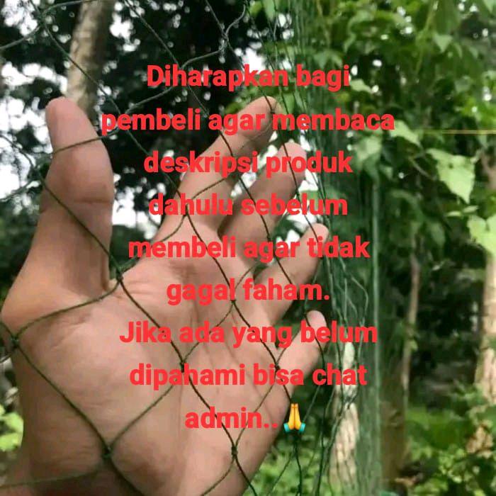 Terbaru jaring pagar ayam ukuran 1.5m x 100meter lubang 4inc Berkualitas