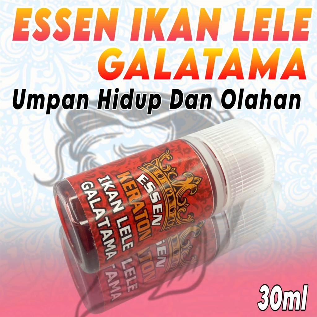 Keraton Essen Galatama Ikan Lele Paling Gacor, Essen Spesialis Galatama Lele Terbaik, Essen Ikan