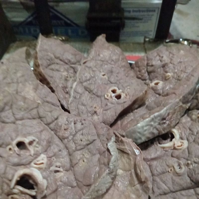 

dendeng paru 500 grm WE!