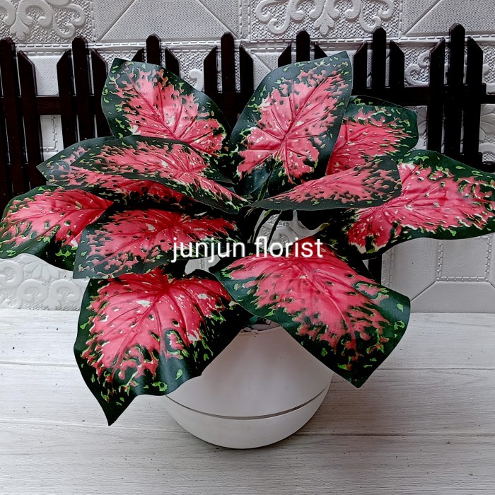 New- keladi merah artificial pot bola//tanaman hias plastik keladi merah