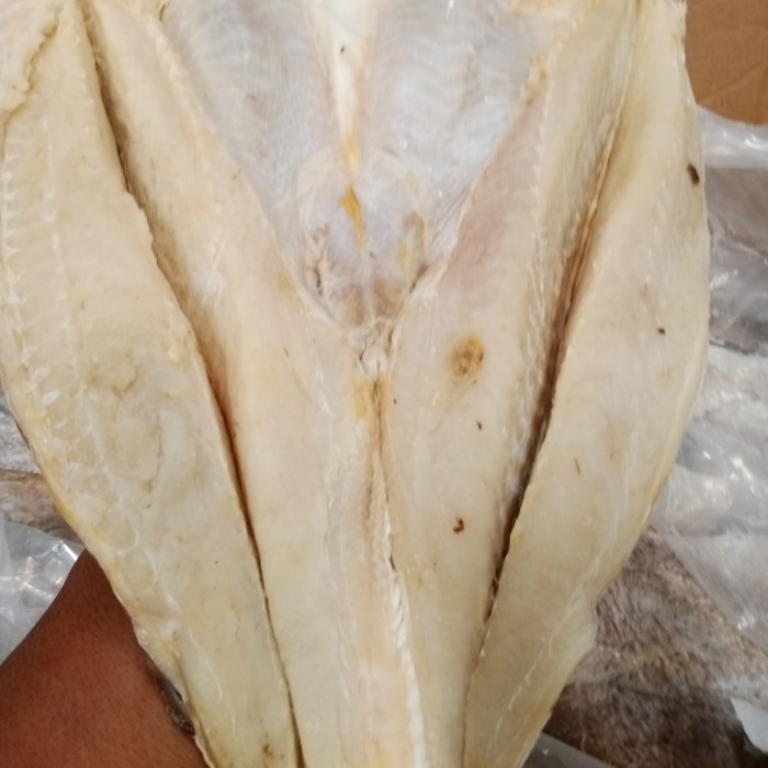 

ikan asin jambal/ikan jambal asin roti