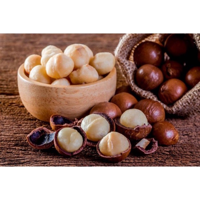 

Rosted Macadamia Nuts / Kacang Macadamia Panggang 100g