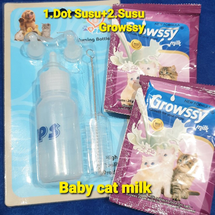 Paket baby cat Dot dan susu-dot kucing dan susu growssy