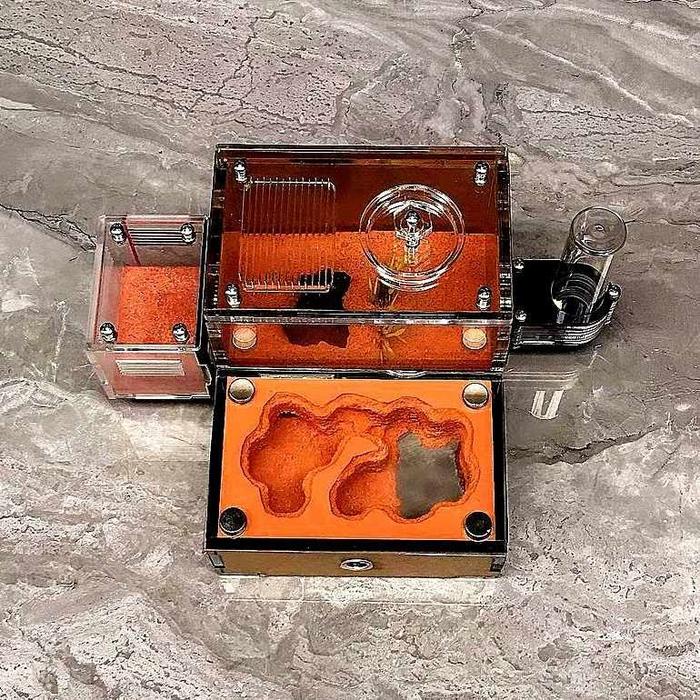 Formicarium Ecological Mini Datar Premium, Formicarium akrilik, Formicarium kaca, ants nest, ant,