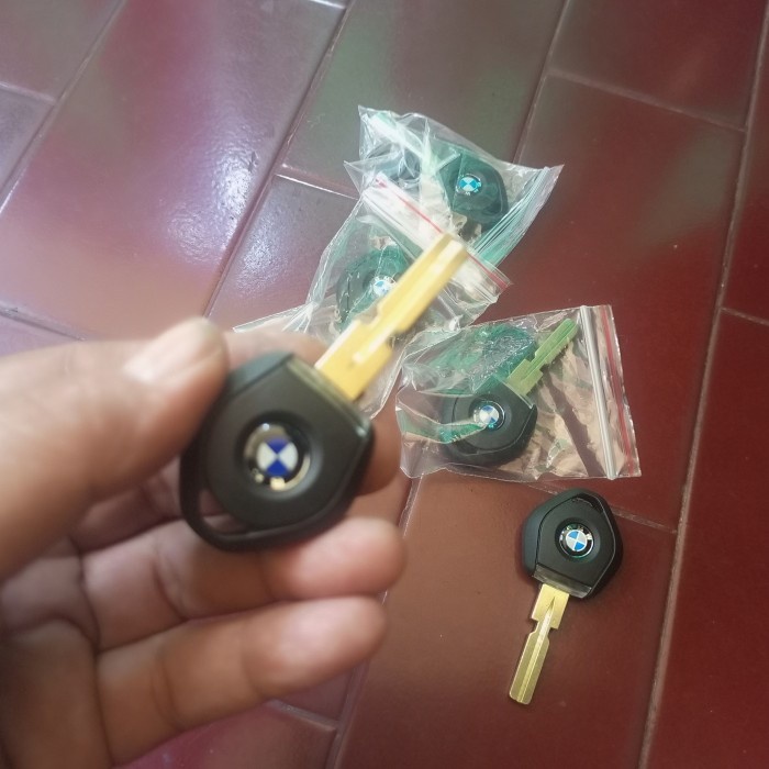 Blank Key Bmw E34 E36 Led Non Ews