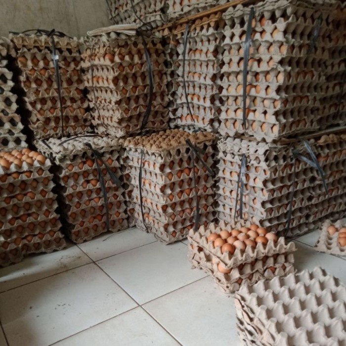 

(TopSeller) 1 KRAT TELUR ISI 30 BUTIR, BERAT 1.7kg-1.9kg TOKO SEMBAKO CIKARANG