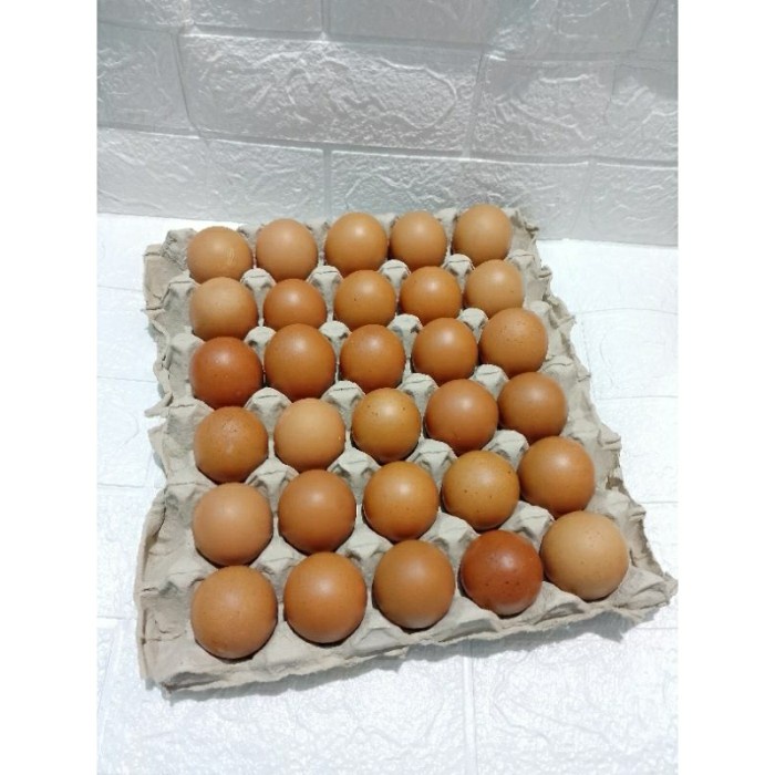 

(TopSeller) Telur ayam negeri isi 30 butir sekitar 1,9 kg kulit lebih tebal /kirim