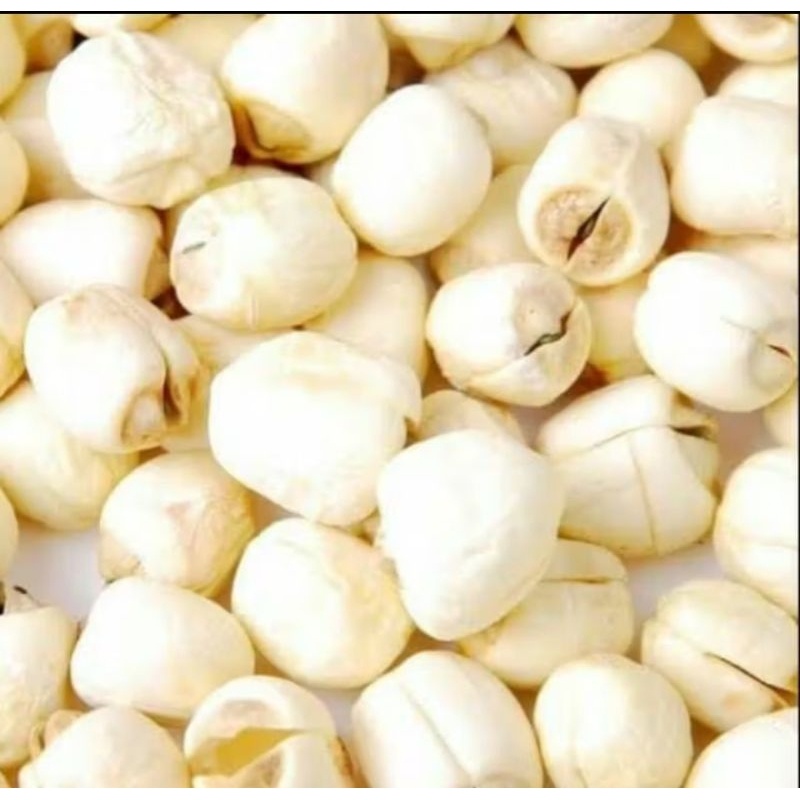 

A [500Gram] Premium Lian Zi Lotus Seed Lianzi Biji Teratai Lianzhi Lianci Lienzi Lienzhi