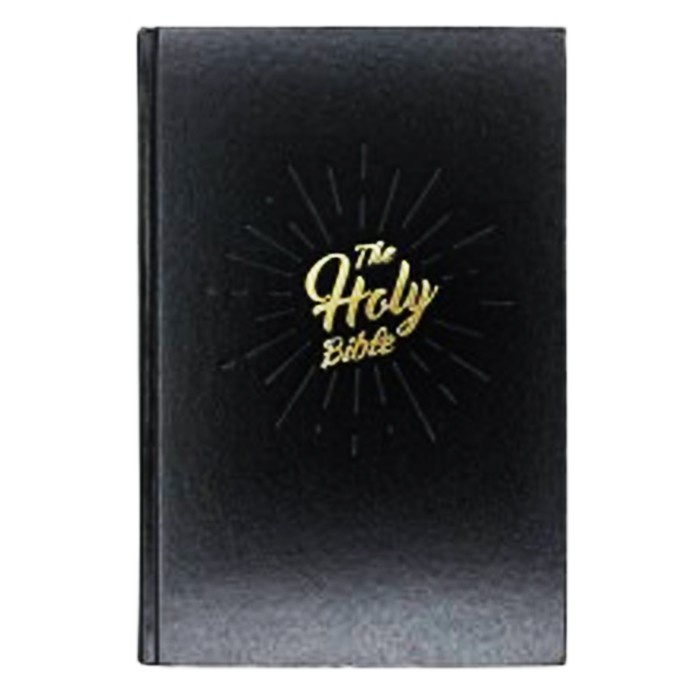 

NIV BIble Large Print -Hard Cover - NIV73
