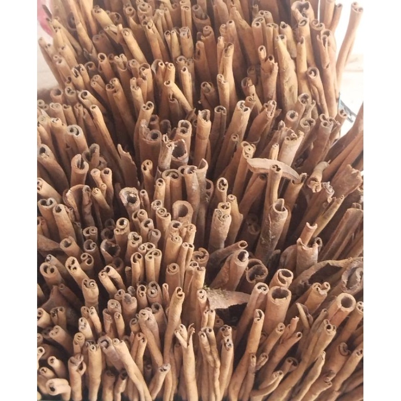 

Ayu Mani Tebal Ti 1G